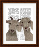 Goat Duo, Looking at You Book Print Fine Art Print
