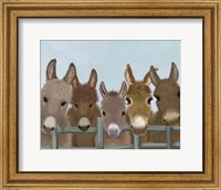 Donkey Herd at Fence Fine Art Print
