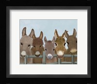 Donkey Herd at Fence Fine Art Print