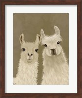 Llama Duo, Looking at You Fine Art Print