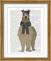 Llama with Purple Scarf, Full Book Print Fine Art Print