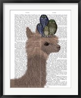 Llama Owls, Portrait Book Print Fine Art Print