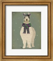 Llama with Purple Scarf, Full Fine Art Print