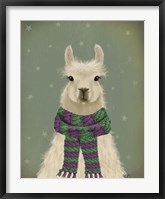 Llama with Purple Scarf, Portrait Fine Art Print