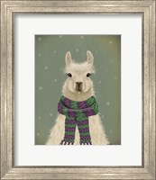 Llama with Purple Scarf, Portrait Fine Art Print