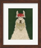 Llama F Fine Art Print