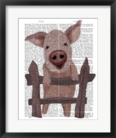Pig On Fence Book Print Fine Art Print