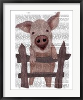 Pig On Fence Book Print Fine Art Print