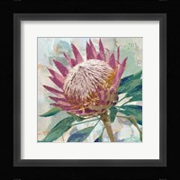 Protea King Fine Art Print