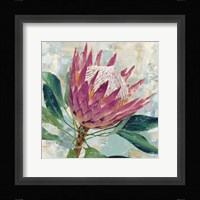 Protea Majestic Fine Art Print