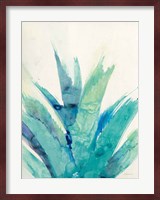 Cool Aloe Fine Art Print