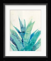 Cool Aloe Fine Art Print