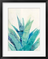 Cool Aloe Fine Art Print