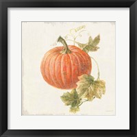 Floursack Autumn VIII v2 Framed Print