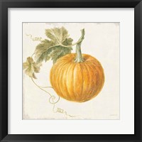 Floursack Autumn VI v2 Framed Print