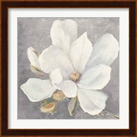 Serene Magnolia Light Gray Fine Art Print