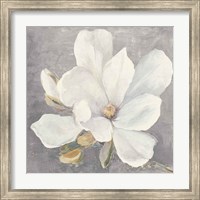 Serene Magnolia Light Gray Fine Art Print