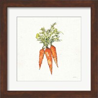 Veggie Market V Carrots Fine Art Print