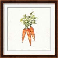 Veggie Market V Carrots Fine Art Print