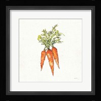 Veggie Market V Carrots Framed Print