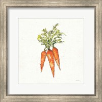 Veggie Market V Carrots Fine Art Print