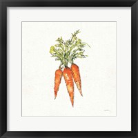 Veggie Market V Carrots Framed Print