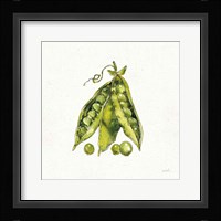 Veggie Market IV Peas Fine Art Print