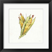 Veggie Market III Corn Fine Art Print