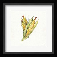 Veggie Market III Corn Framed Print