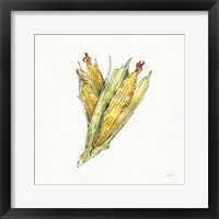 Veggie Market III Corn Framed Print