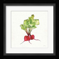 Veggie Market II Radish Framed Print