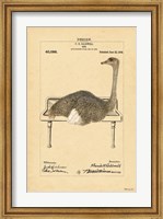 Ostrich in Sink Fine Art Print