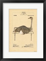 Ostrich in Sink Fine Art Print