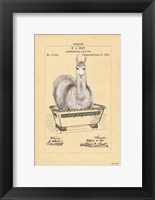 Llama in Tub Fine Art Print