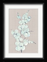 Eucalyptus Branch IV Blue Gray Fine Art Print