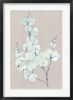 Eucalyptus Branch III Blue Gray Fine Art Print