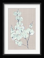 Eucalyptus Branch III Blue Gray Fine Art Print