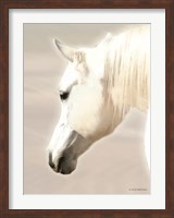 Pegasus II Fine Art Print