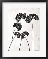 Queen Anne's Lace I Fine Art Print