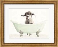 Vintage Tub with Goat Fine Art Print