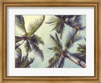 Palms in the Sky Fine Art Print