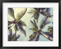 Palms in the Sky Fine Art Print