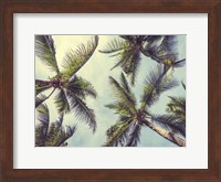 Palms in the Sky Fine Art Print