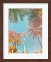 Palms in Paradise Fine Art Print