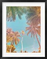 Palms in Paradise Fine Art Print