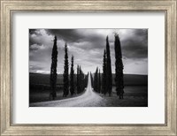 Travelling in Tuscany Fine Art Print