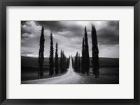 Travelling in Tuscany Framed Print