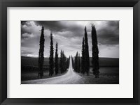 Travelling in Tuscany Framed Print