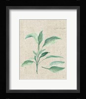 Sage II on Burlap Framed Print