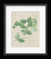Oregano on Burlap Fine Art Print